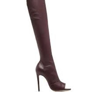 Victoria Beckham Opaz Boots